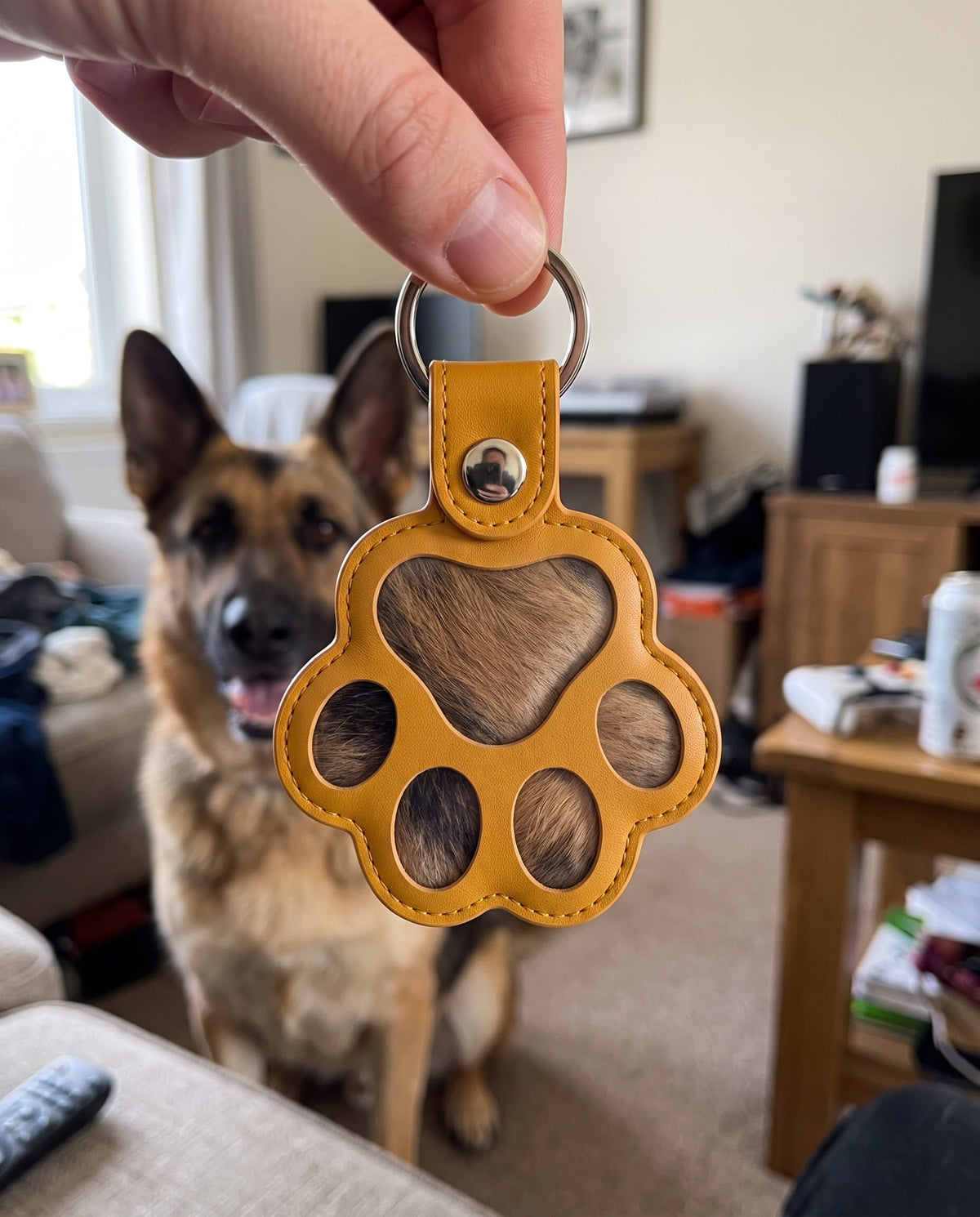 Pelino i Mango foran en schæferhund